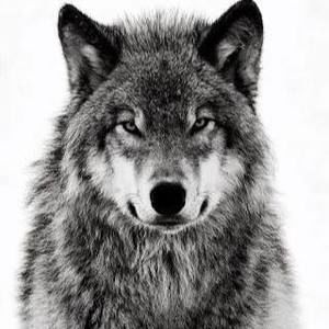 Meet your Posher, Ismael